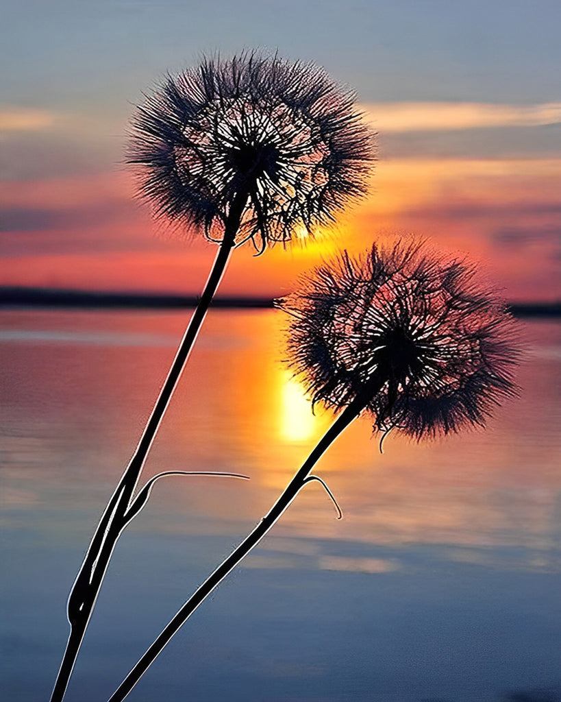 Pusteblumen am See bei Sonnenuntergang Malen nach Zahlen