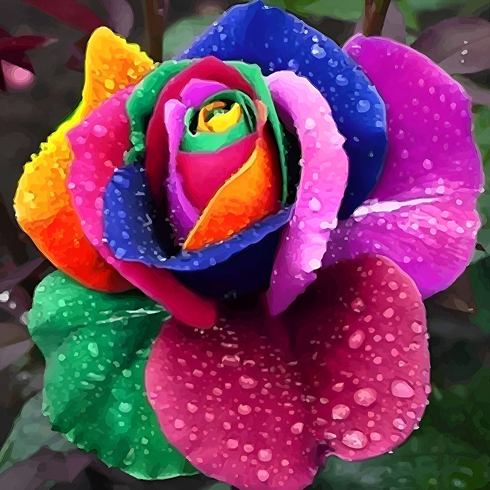 Regenbogen-Rose mit Tautropfen Malen nach Zahlen