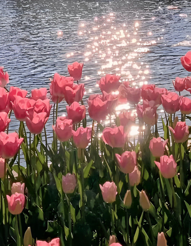 Rosa Tulpen und schimmernder See Malen nach Zahlen