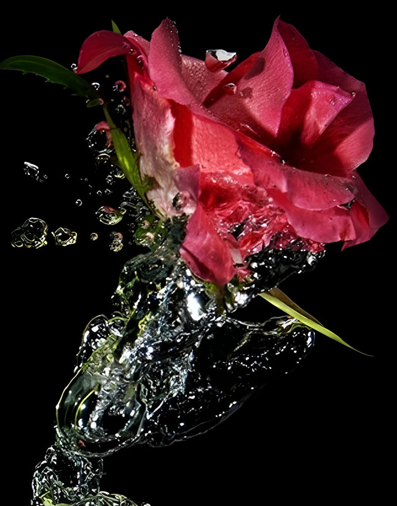 Rose im Wasser Malen nach Zahlen