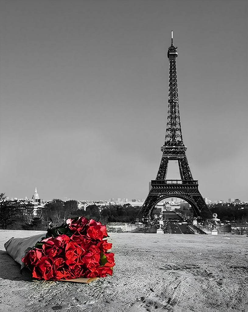 Rote Rosen vor dem Eiffelturm Malen nach Zahlen