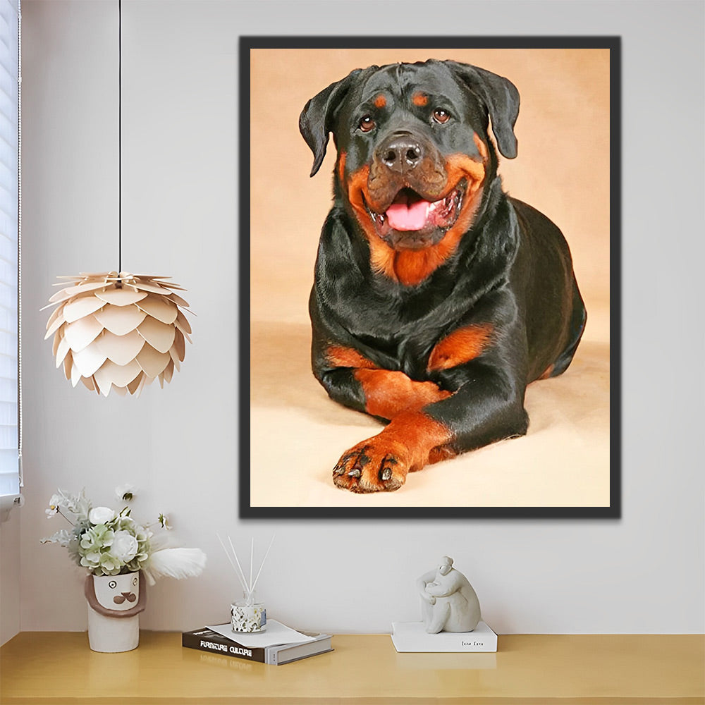 Rottweiler Malen nach Zahlen