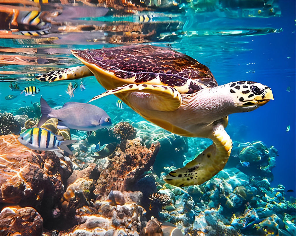 Schildkröte im Meer Malen nach Zahlen