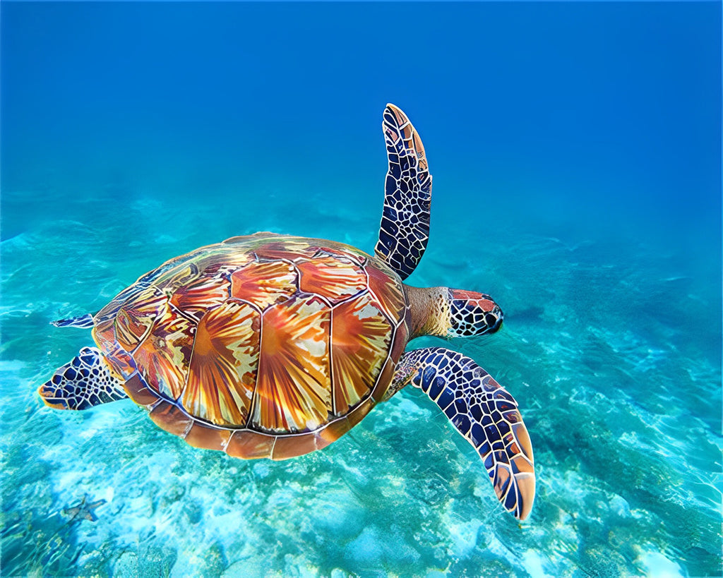 Schildkröte im Meer Malen nach Zahlen