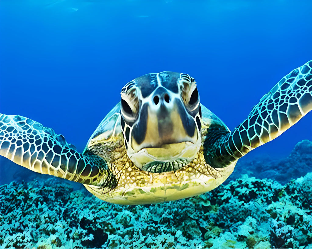 Schildkröte Malen nach Zahlen