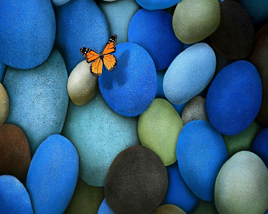 Schmetterling auf dem Stein Malen nach Zahlen