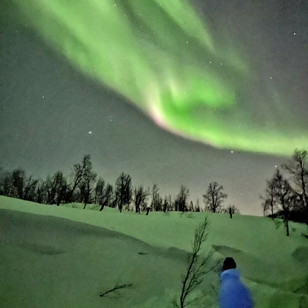 Schnee unter dem grünen Nordlicht Malen nach Zahlen