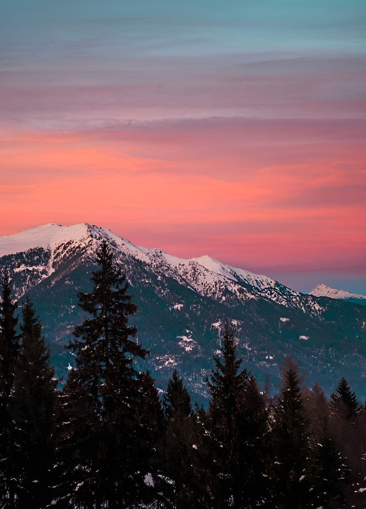 Schneebedeckte Berge und Kiefern Malen nach Zahlen