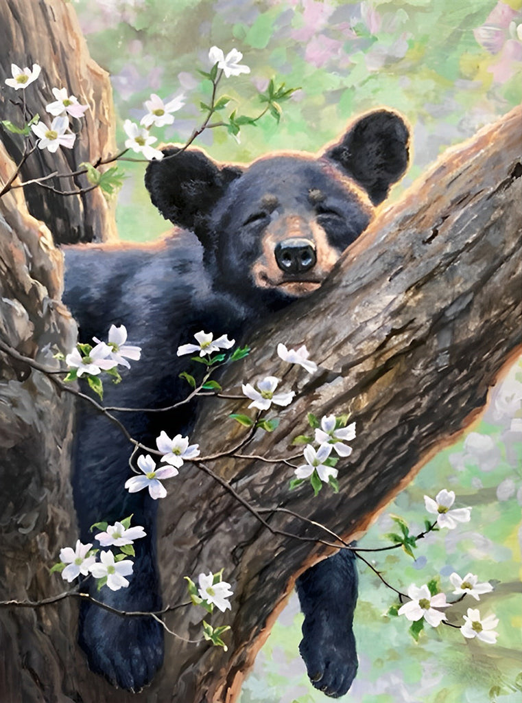 Schwarzbär auf dem Baumzweig Malen nach Zahlen