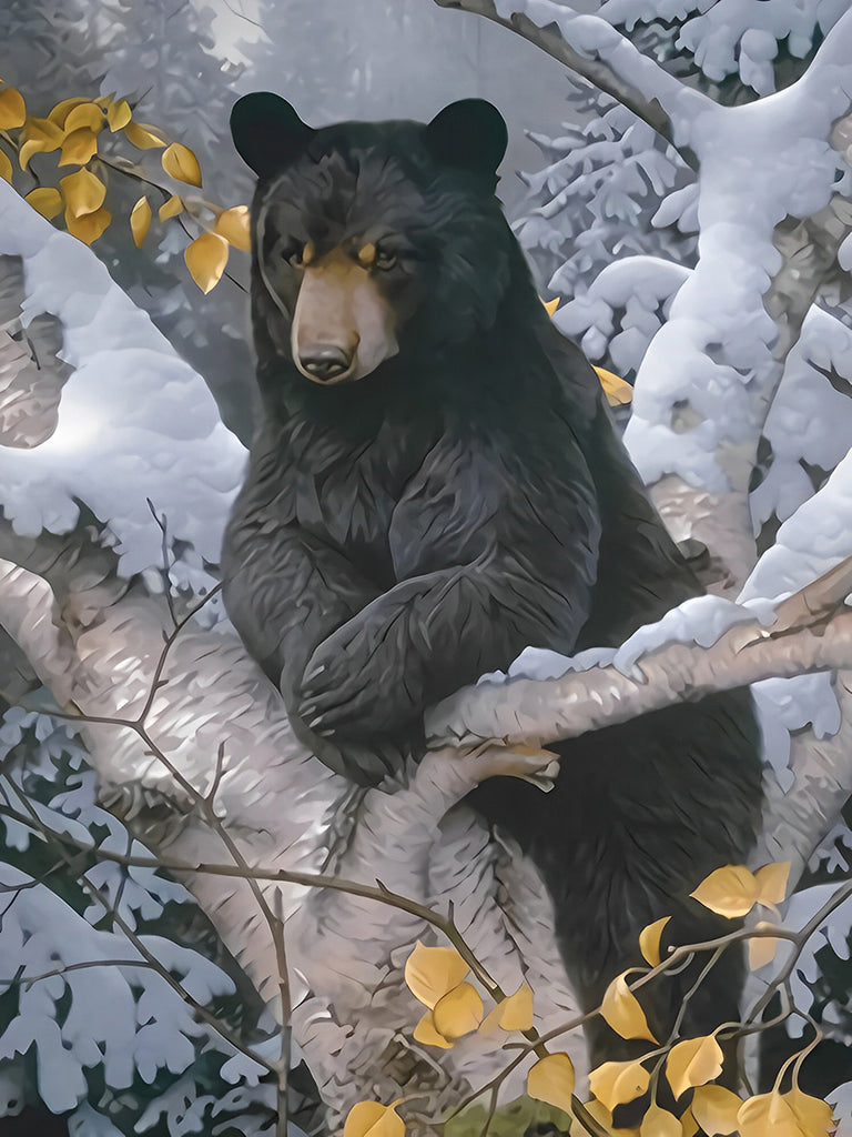 Schwarzbär im Winter Malen nach Zahlen