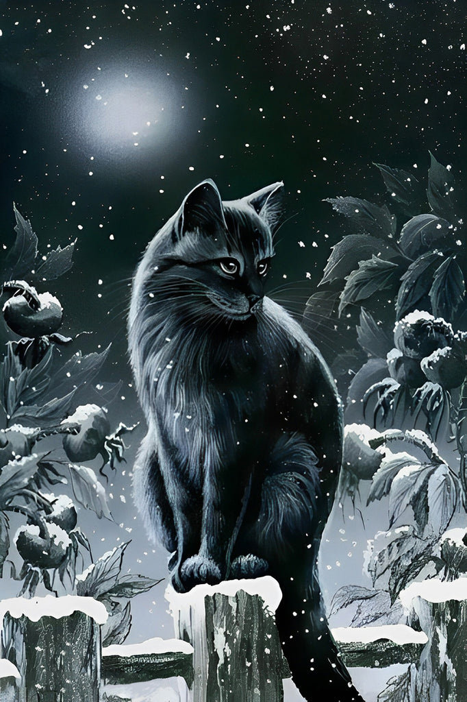 Schwarze Katze und Schnee in der Nacht Malen nach Zahlen