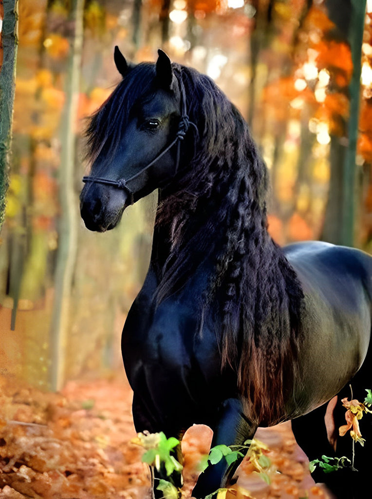 Schwarzes Pferd im Wald Malen nach Zahlen