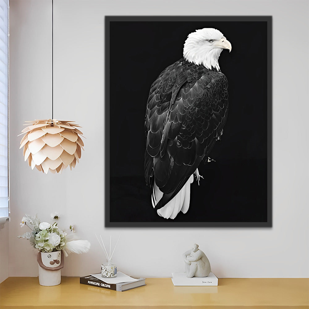 Seeadler in der Dunkelheit Malen nach Zahlen