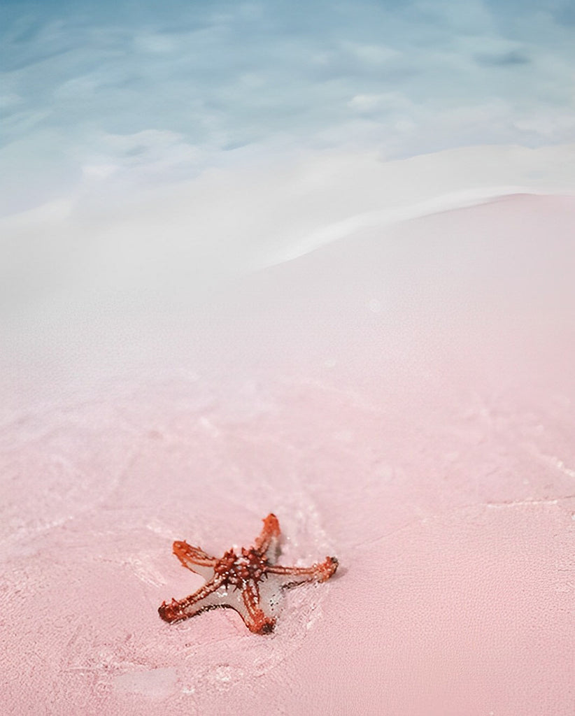 Seestern auf dem rosa Strand Malen nach Zahlen