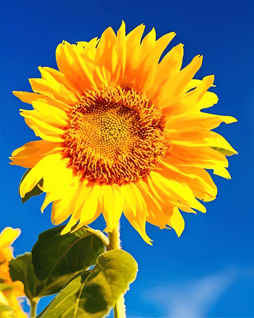 Sonnenblume unter blauem Himmel Malen nach Zahlen