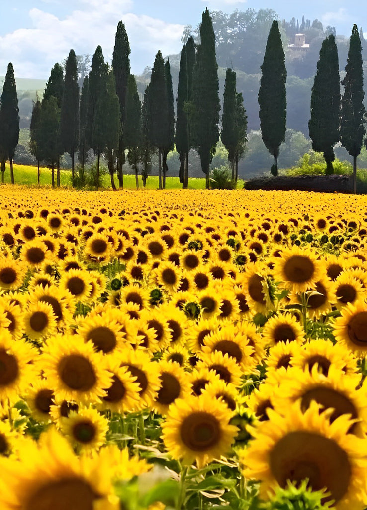 Sonnenblumen und Kiefernbäume Malen nach Zahlen