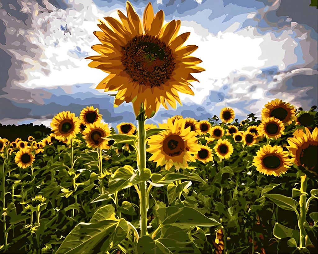 Sonnenblumen unter dunklen Wolken Malen nach Zahlen