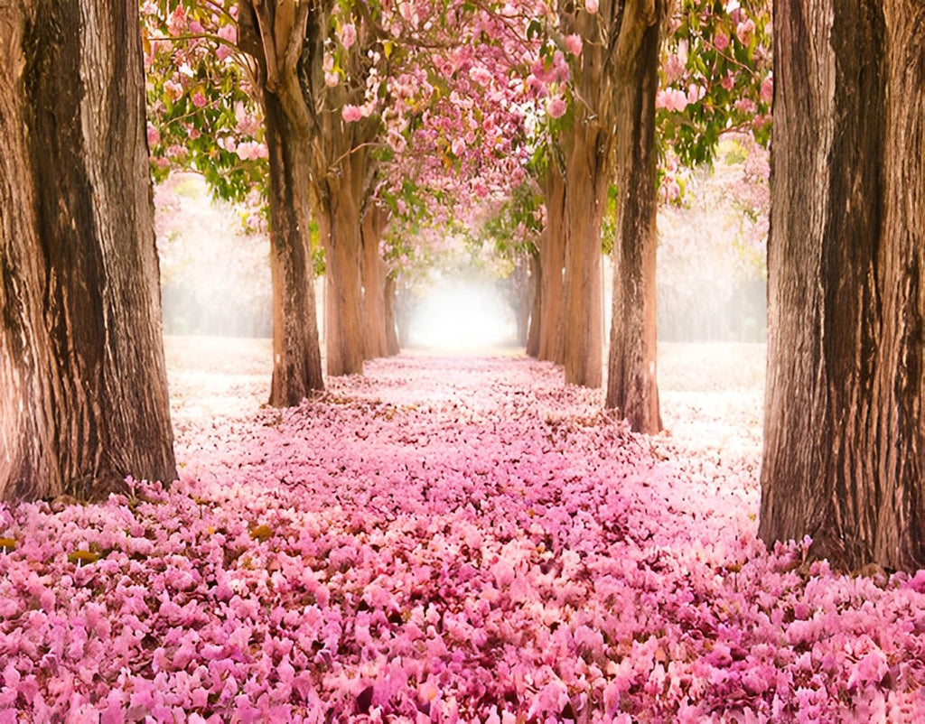 Straße mit rosa Blütenblättern Malen nach Zahlen