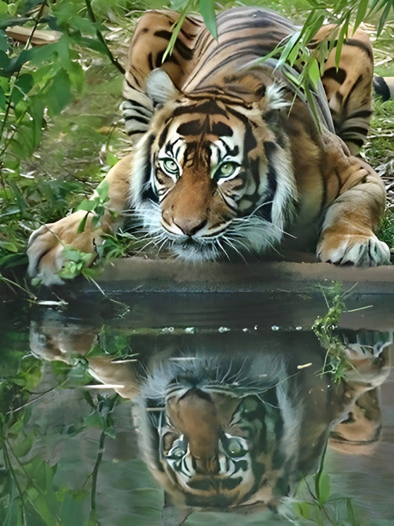 Tiger am Wasser Malen nach Zahlen