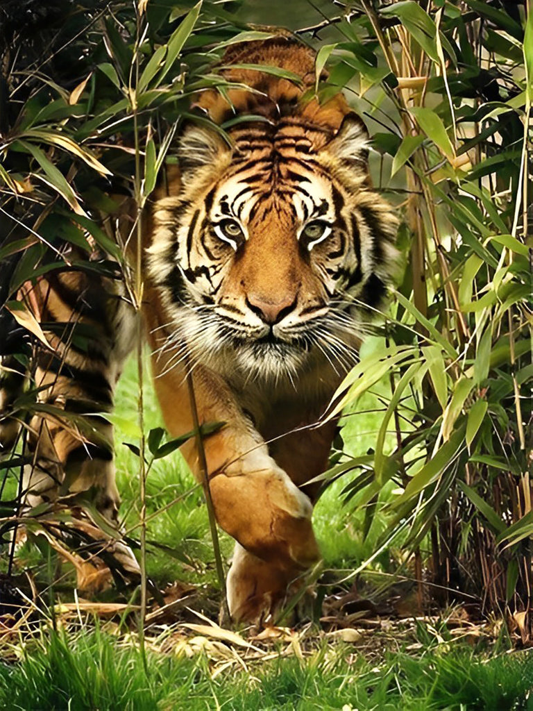 Tiger im Bambuswald Malen nach Zahlen