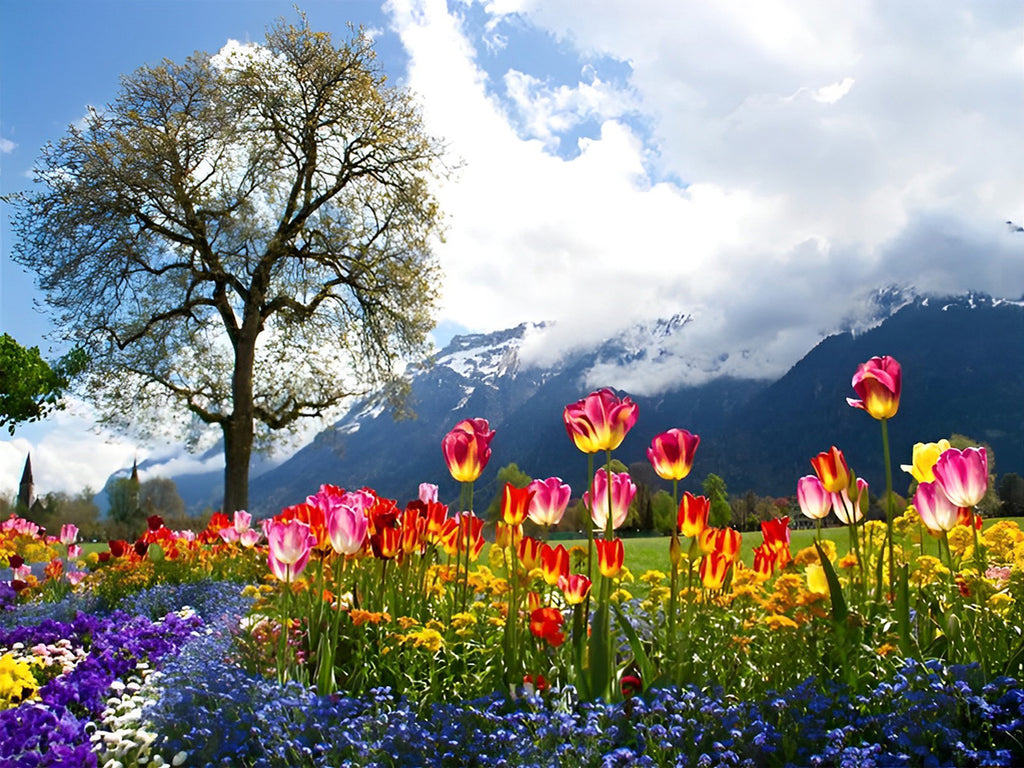 Tulpen und Blumen am Fuße des Berges Malen nach Zahlen