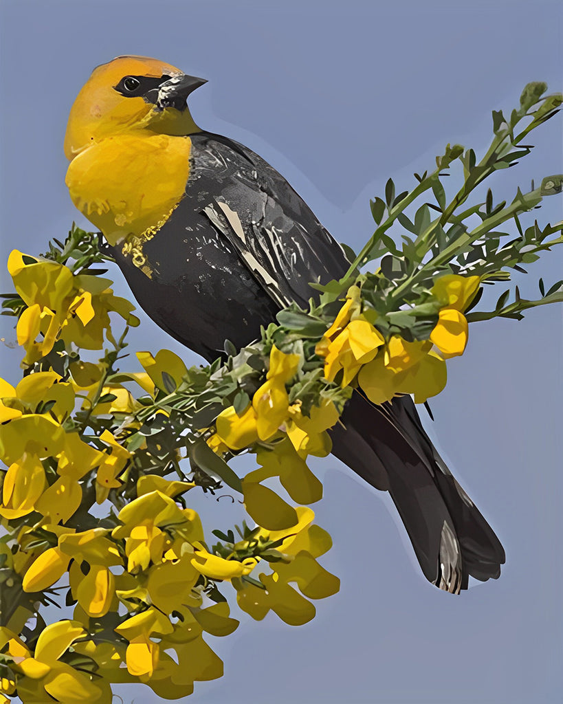 Vogel und gelbe Blumen Malen nach Zahlen