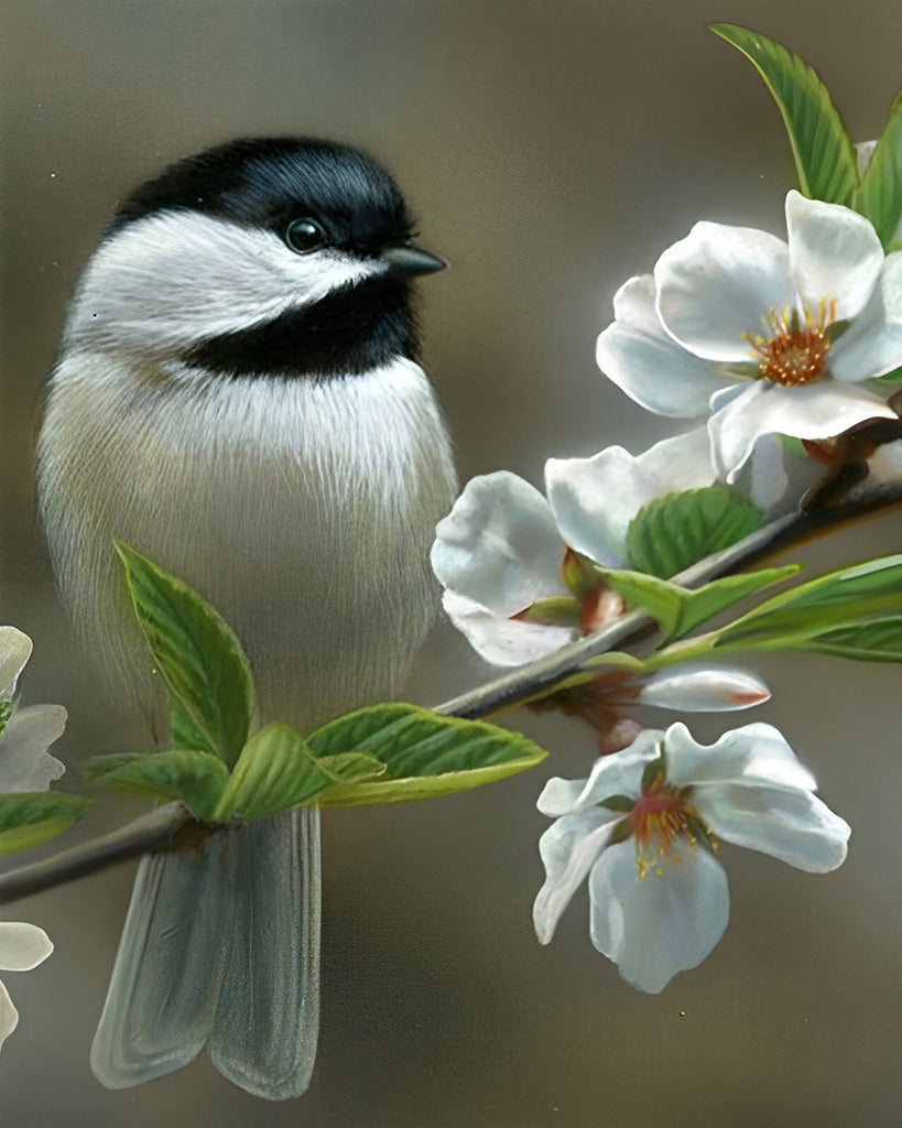 Vogel und weiße Blumen Malen nach Zahlen