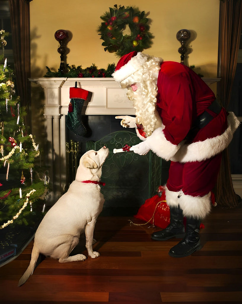 Weihnachtsmann und Hund Malen nach Zahlen