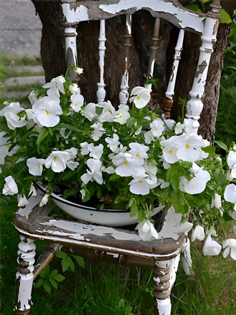 Weiße Blumen auf dem Stuhl Malen nach Zahlen