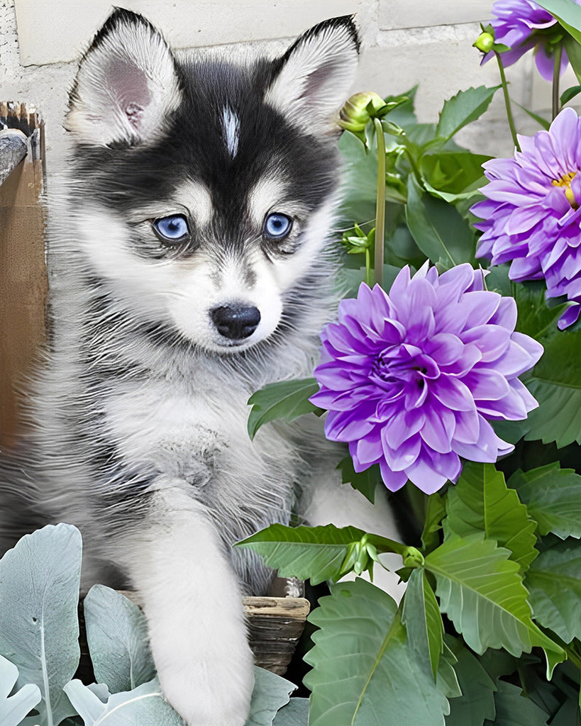 Wolfswelpe und lila Dahlienblumen Malen nach Zahlen