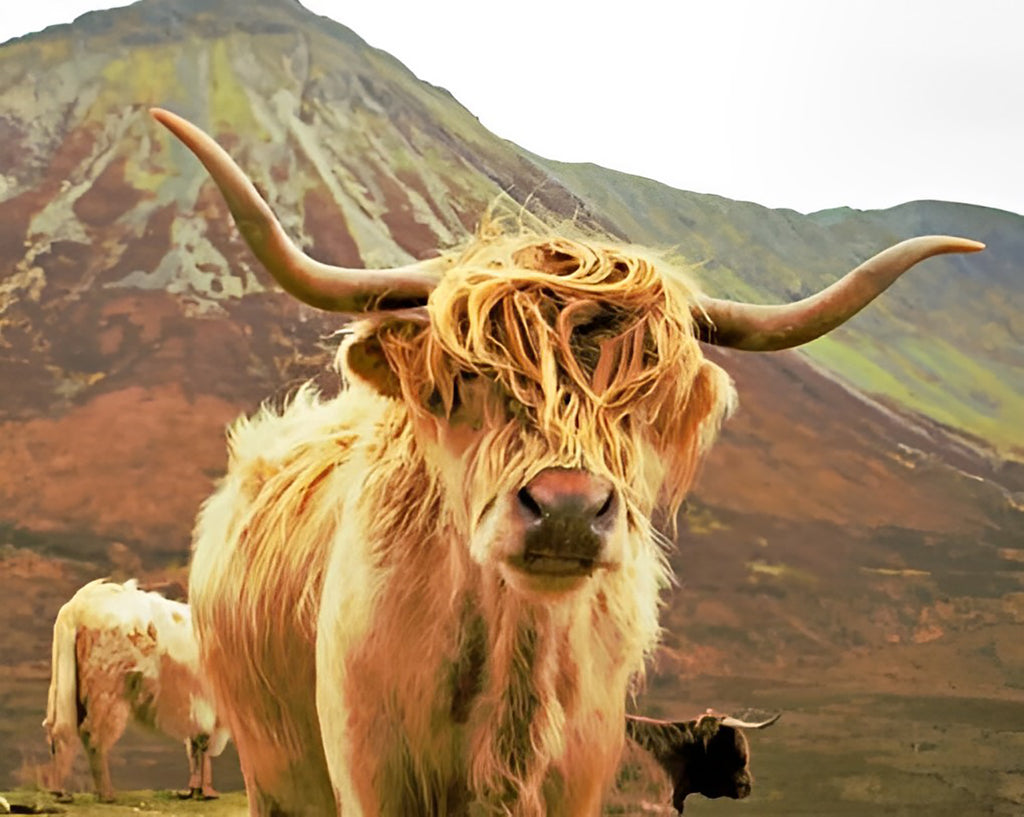 Yak am Fuß des Berges Malen nach Zahlen