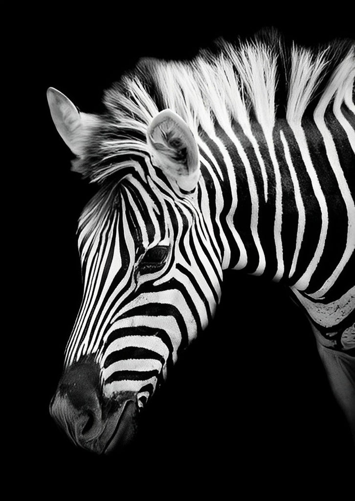 Zebra im Dunkeln Malen nach Zahlen