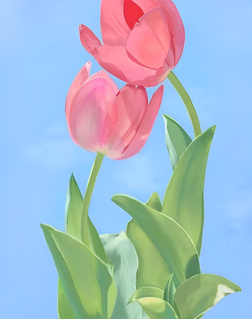 Zwei rosa Tulpen auf blauem Hintergrund Malen nach Zahlen