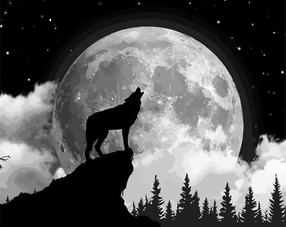 Einzelner Wolf bei Vollmond Malen nach Zahlen